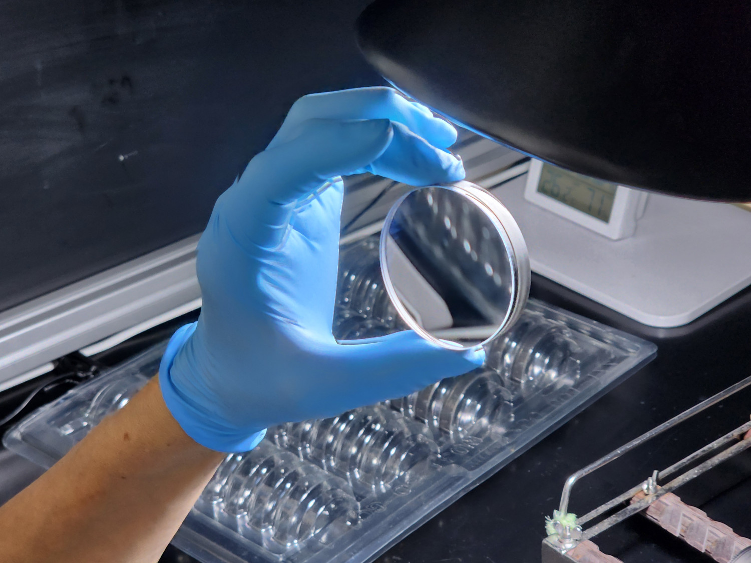 Lens inspection process